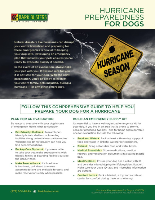 Hurricane Preparedness for Dogs