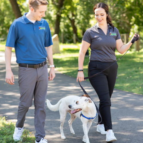 Michael and Lydia walking their dog Bark Busters Home Dog Training