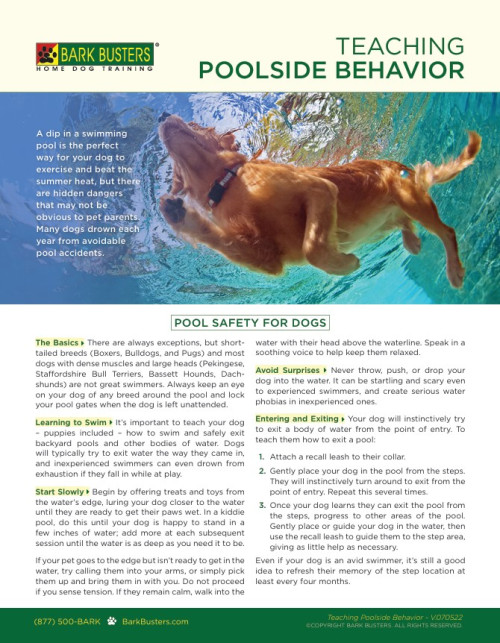 Pool and Poolside Safety