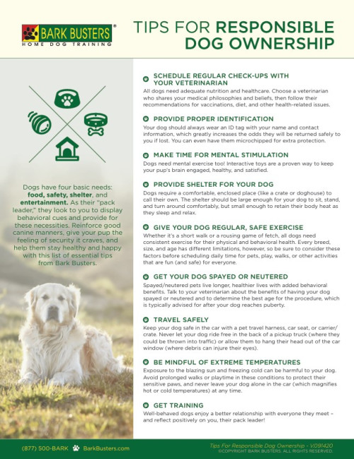 Tips for Responsible Dog Ownership