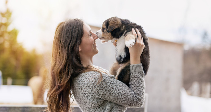 Bringing home a puppy Bark Busters Home Dog Training