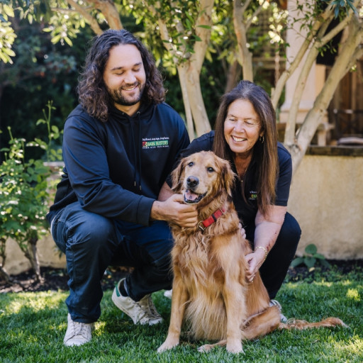 Dog Trainers in San Francisco