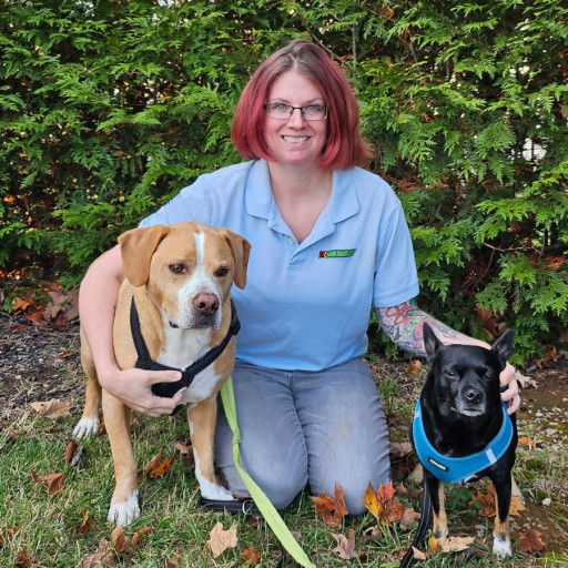 Stacey Noble Bark Busters Home Dog Training Greater Nashville