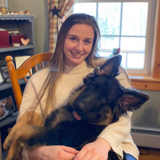 Mariah Vogeley Bark Busters Dog Trainer in Southern New Hampshire