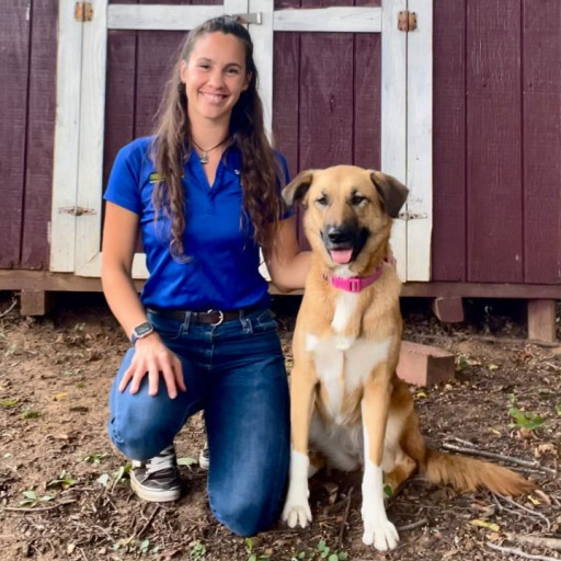 Arlington Dog Trainer and Dog