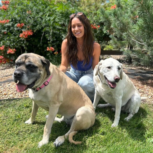 Stephanie Curtis Bark Busters Dog Trainer San Fernando Valley