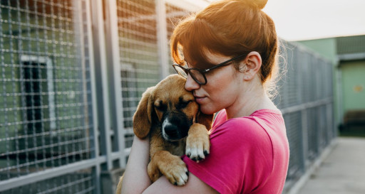 Woman holding shelter dog Bark Busters Home Dog Training